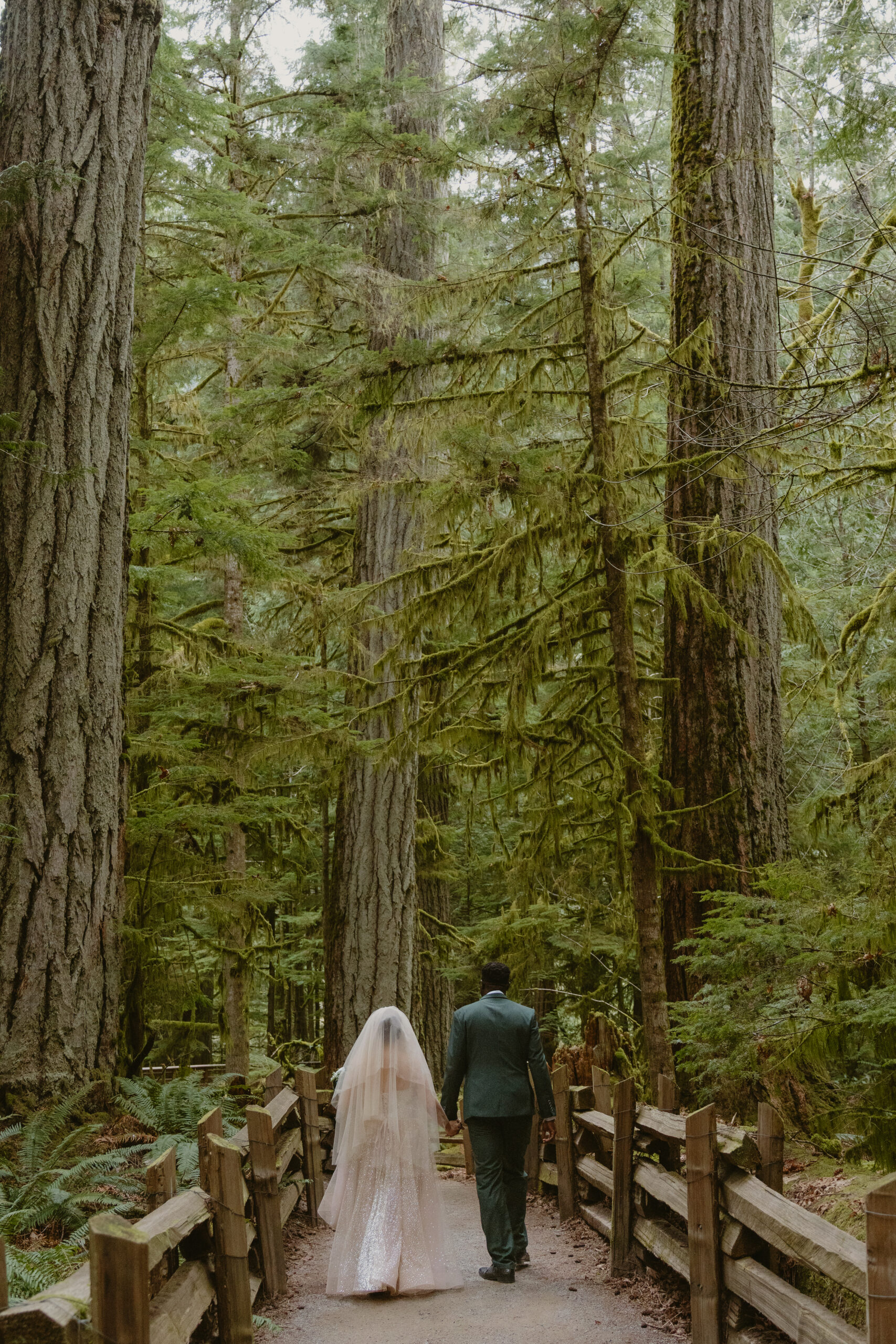 Bride and Groom walking away through the old growth on trail at Cathedral Grove, MacMillan Park, Vancouver island.